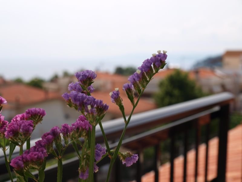 Classic Δίκλινο Δωμάτιο–Θέα στην Θάλασσα 1